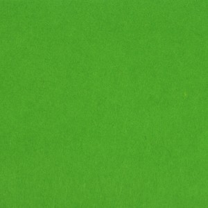 Фетр жесткий 1 мм, 20 х 30 см, цвет зеленый